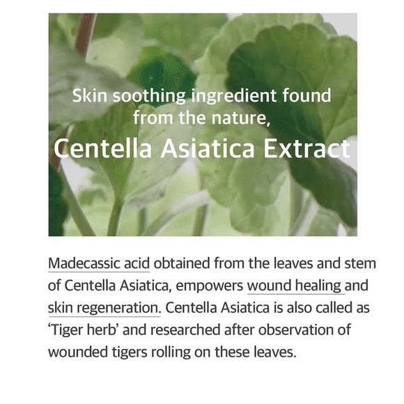 mixsoon Soondy Centella Asiatica Essence 100ml - Picture 6 of 10